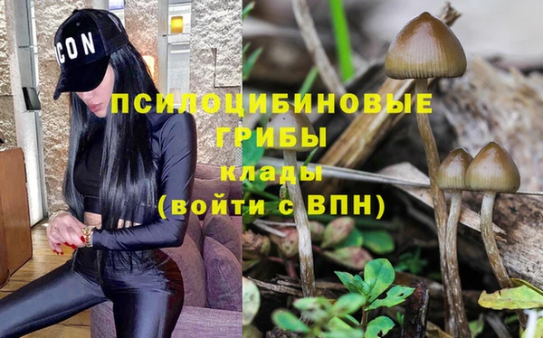 ГАЛЛЮЦИНОГЕННЫЕ ГРИБЫ Армянск