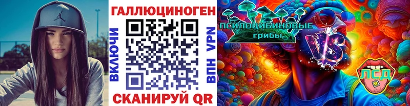 купить наркоту  Ясногорск  Псилоцибиновые грибы Cubensis 